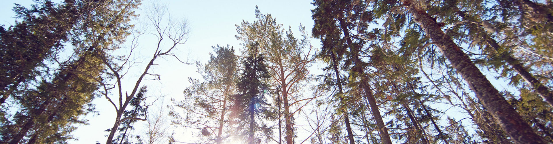 blog_header_img_10052017