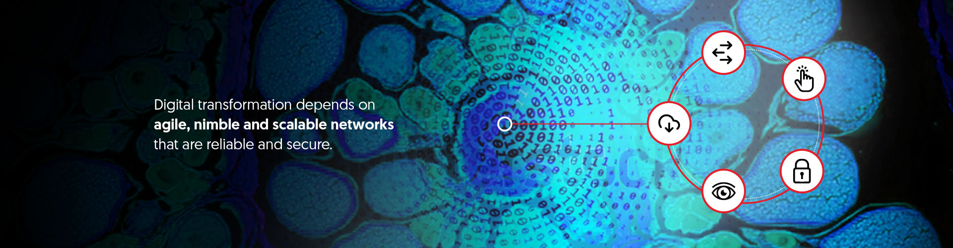 Five-Steps-to-a-Future-Ready-Network-in-an-agile-landscape_fi