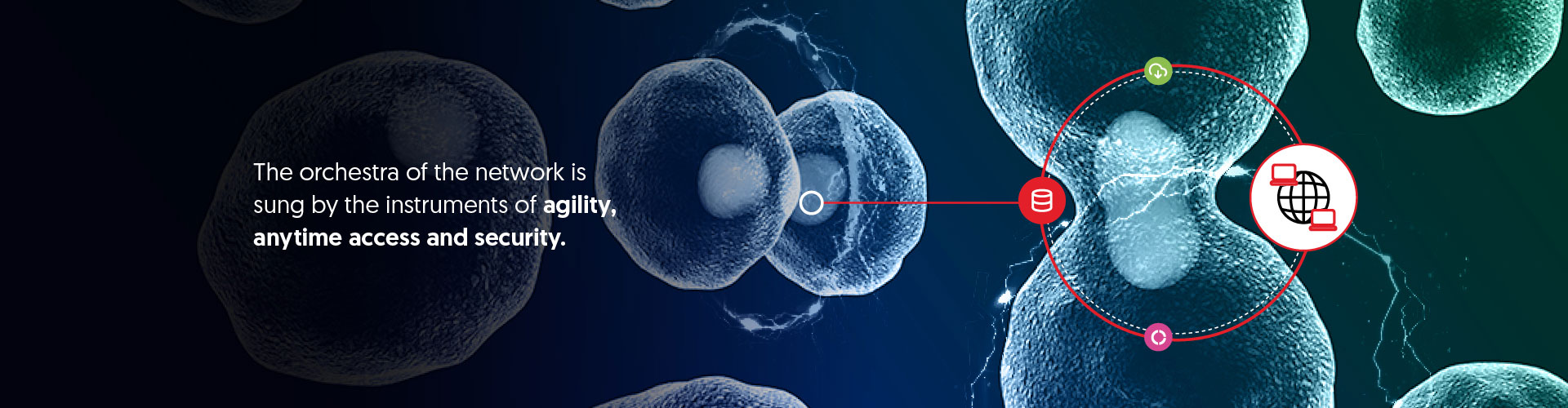 Outsmart the future with intelligent network agility_fi