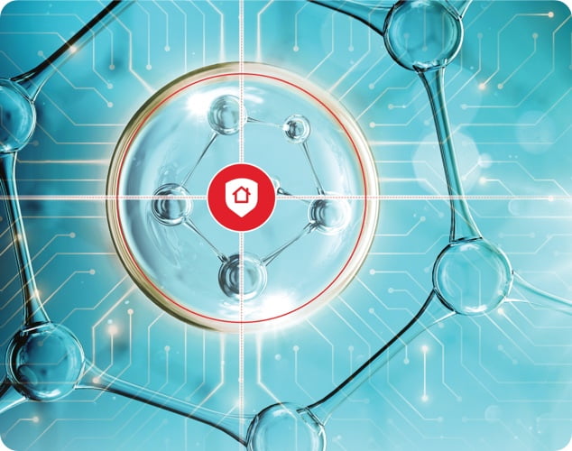 Security Architecture and Engineering
