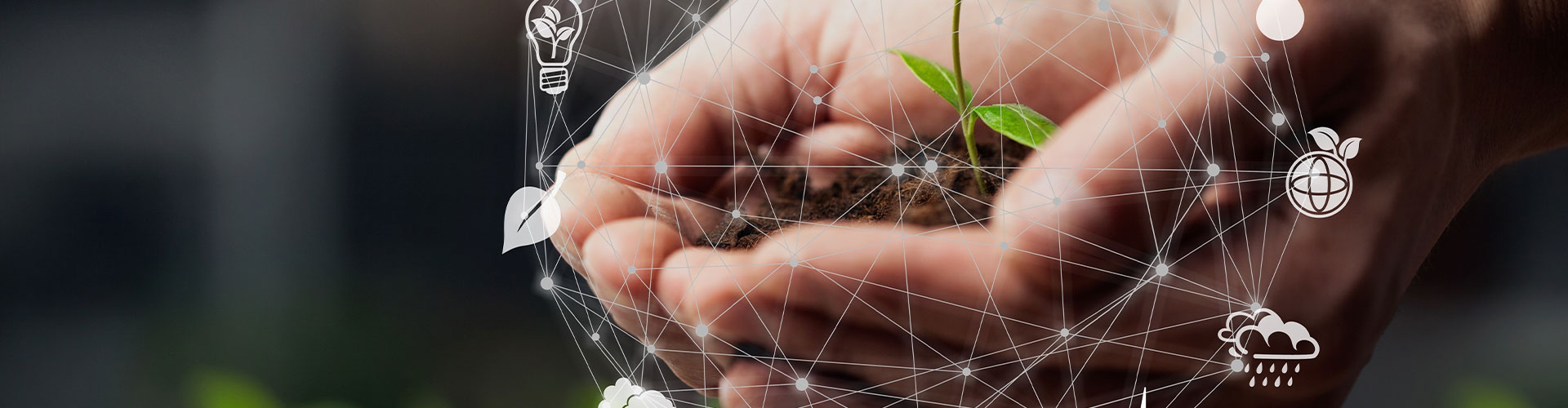 Positivity lies on a foundation of sustainability Positivity lies on a foundation of sustainability